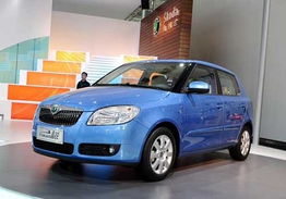 低保養(yǎng)費 五款配正時鏈條的家用小車